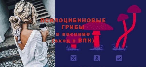 хмурый Надым