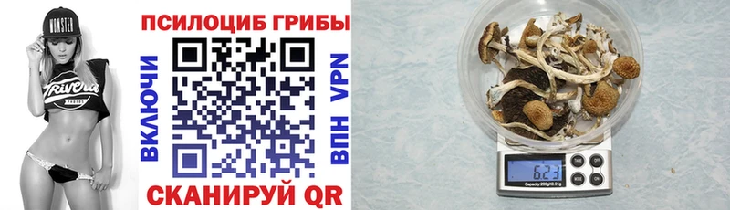 Галлюциногенные грибы Psilocybe Пермь