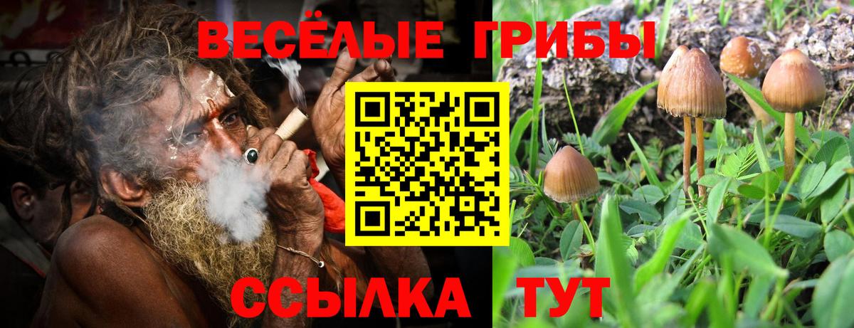 Пермь  Псилоцибиновые грибы Cubensis  Вход с VPN 
