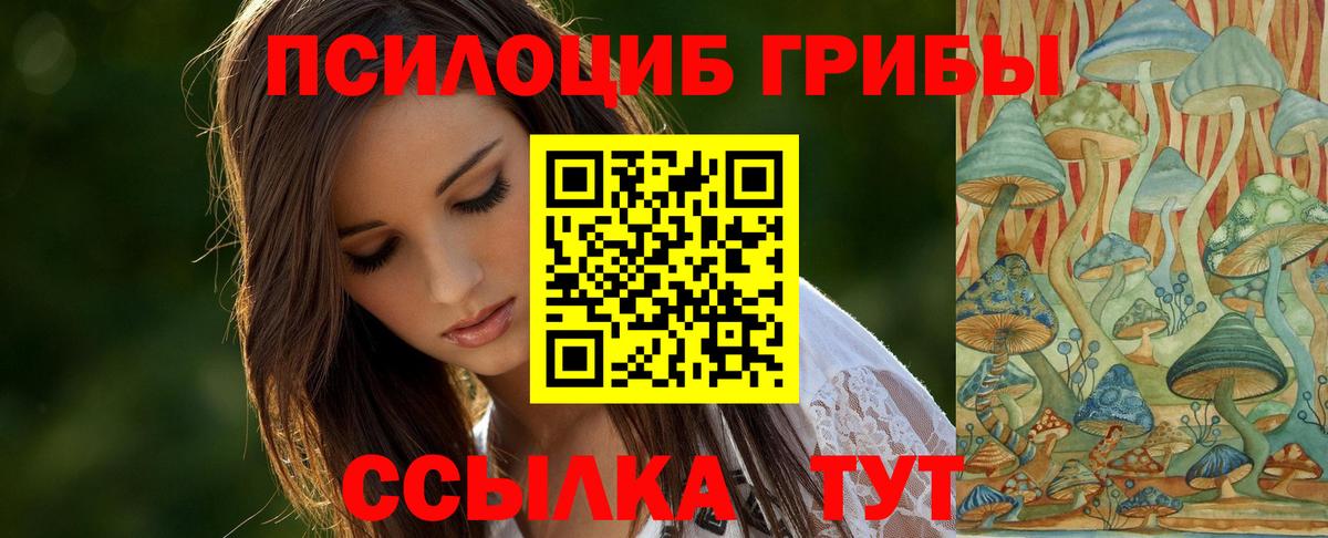 Псилоцибиновые грибы GOLDEN TEACHER Пермь